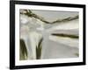 Dapple-Beth Wintgens-Framed Giclee Print