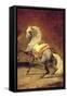Dappled Grey Horse-Théodore Géricault-Framed Stretched Canvas