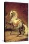 Dappled Grey Horse-Théodore Géricault-Stretched Canvas