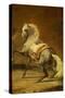 Dappled Grey Horse-Théodore Géricault-Stretched Canvas