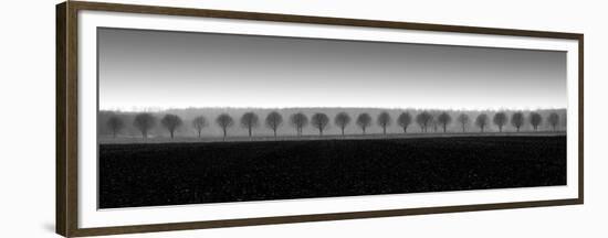 Dappled Morning Fields-Heather Ross-Framed Giclee Print