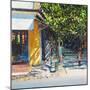 Dappled Street Pondicherry, 2017-Andrew Gifford-Mounted Premium Giclee Print