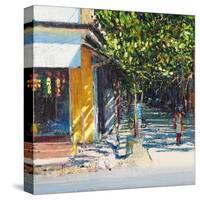 Dappled Street Pondicherry, 2017-Andrew Gifford-Stretched Canvas