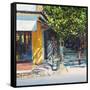 Dappled Street Pondicherry, 2017-Andrew Gifford-Framed Stretched Canvas