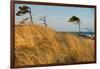 Dar?er Place Coast in Morning Light-Thomas Ebelt-Framed Photographic Print