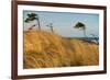 Dar?er Place Coast in Morning Light-Thomas Ebelt-Framed Photographic Print