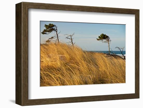 Dar?er Place Coast in Morning Light-Thomas Ebelt-Framed Photographic Print