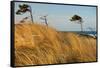 Dar?er Place Coast in Morning Light-Thomas Ebelt-Framed Stretched Canvas