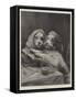 Darby and Joan-Fannie Moody-Framed Stretched Canvas