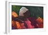 Darcas, Kilifi-Lincoln Seligman-Framed Giclee Print