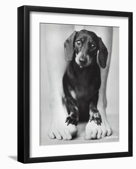 Darcy-Rachael Hale-Framed Photo