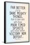 Dare Mighty Things Teddy Roosevelt Motivational Plastic Sign-null-Framed Stretched Canvas