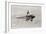 Daredevil Al Wilson Golfing on Biplane-null-Framed Photographic Print