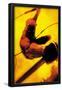 Daredevil: Reborn No.2 Cover: Daredevil Jumping-Jock-Framed Poster