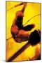 Daredevil: Reborn No.2 Cover: Daredevil Jumping-Jock-Mounted Poster