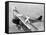 Daredevils Playing Tennis on a Biplane-null-Framed Stretched Canvas