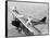 Daredevils Playing Tennis on a Biplane-null-Framed Stretched Canvas