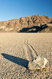 Moving Rock in Death Valley Racetrack-Darek Siusta-Framed Stretched Canvas