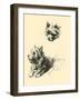 Daria The Cairn Terrier-Lucy Dawson-Framed Art Print