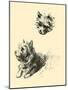 Daria The Cairn Terrier-Lucy Dawson-Mounted Art Print
