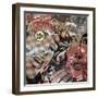 Daring Deception-Dan Monteavaro-Framed Giclee Print