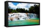 Framed Canvas