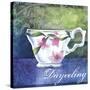 Darjeeling-Fiona Stokes-Gilbert-Stretched Canvas