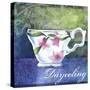 Darjeeling-Fiona Stokes-Gilbert-Stretched Canvas