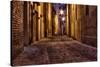 Dark Alley in the Old Town-ermess-Stretched Canvas