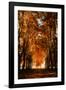 Dark Autumn Days-Philippe Sainte-Laudy-Framed Photographic Print