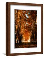 Dark Autumn Days-Philippe Sainte-Laudy-Framed Photographic Print