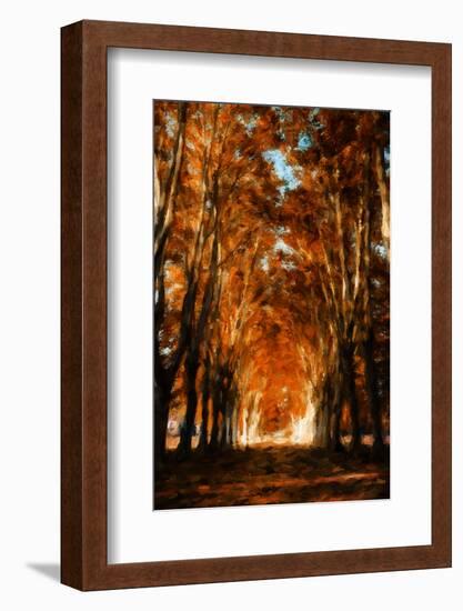 Dark Autumn Days-Philippe Sainte-Laudy-Framed Photographic Print