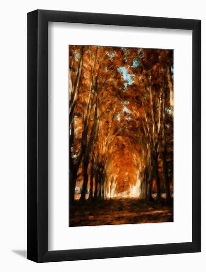 Dark Autumn Days-Philippe Sainte-Laudy-Framed Photographic Print