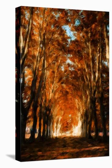 Dark Autumn Days-Philippe Sainte-Laudy-Stretched Canvas