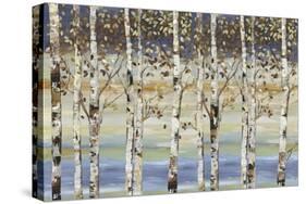 Dark Birch III-Allison Pearce-Stretched Canvas