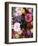 Dark Blossom-Design Fabrikken-Framed Art Print