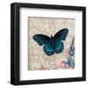 Dark Blue Butterfly-Alan Hopfensperger-Framed Art Print