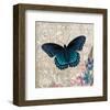 Dark Blue Butterfly-Alan Hopfensperger-Framed Art Print