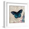 Dark Blue Butterfly-Alan Hopfensperger-Framed Art Print