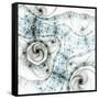 Dark Brown Fractal Flower-fbatista72-Framed Stretched Canvas