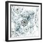 Dark Brown Fractal Flower-fbatista72-Framed Art Print