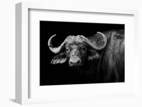 Dark Buffalo-null-Framed Photographic Print