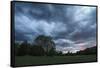 Dark clouds above a park-Benjamin Engler-Framed Stretched Canvas