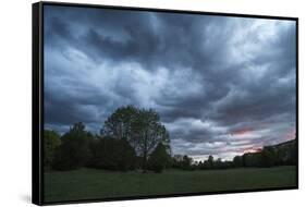 Dark clouds above a park-Benjamin Engler-Framed Stretched Canvas