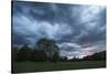 Dark clouds above a park-Benjamin Engler-Stretched Canvas