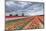 Dark Clouds over Fields of Multicolored Tulips and Windmill, Netherlands-Roberto Moiola-Mounted Photographic Print