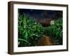 Dark Corn Field-null-Framed Premium Photographic Print