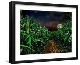Dark Corn Field-null-Framed Premium Photographic Print