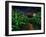 Dark Corn Field-null-Framed Premium Photographic Print