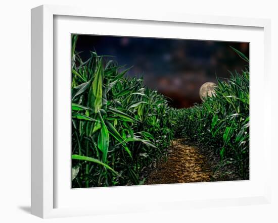 Dark Corn Field-null-Framed Premium Photographic Print